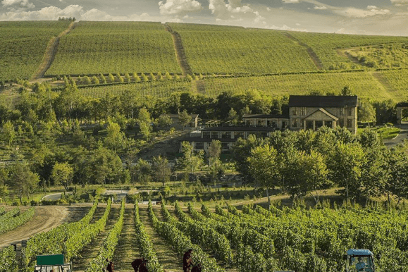 Baku Urban Wine Tasting Tour