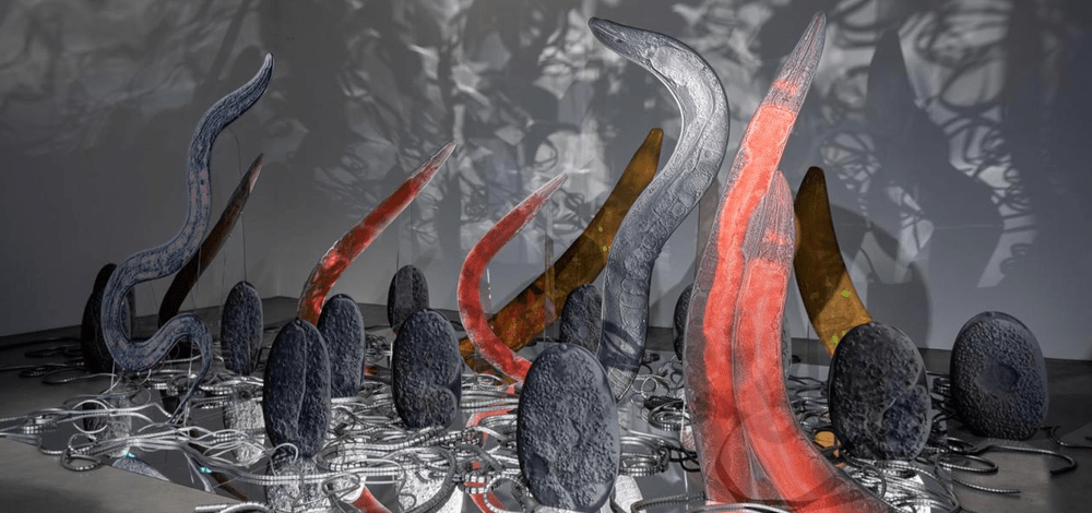 YARAT Contemporary Art Centre